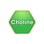 choline