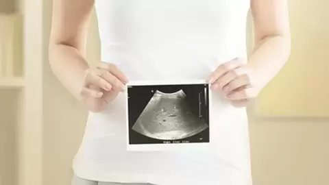 Your Baby Begins to Grow