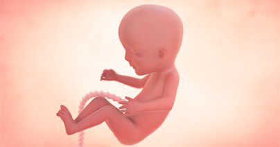 Week 14 pregnancy